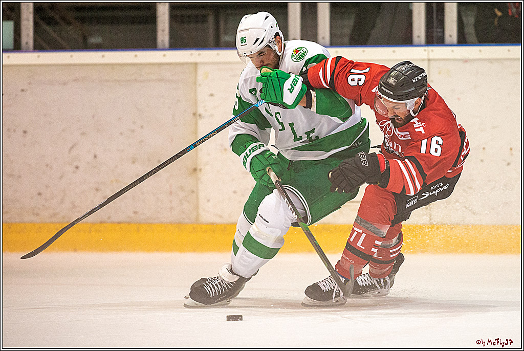 Koeln Cup 2019, Koelner Haie - Roegle BK 1-2, 18.08.2019